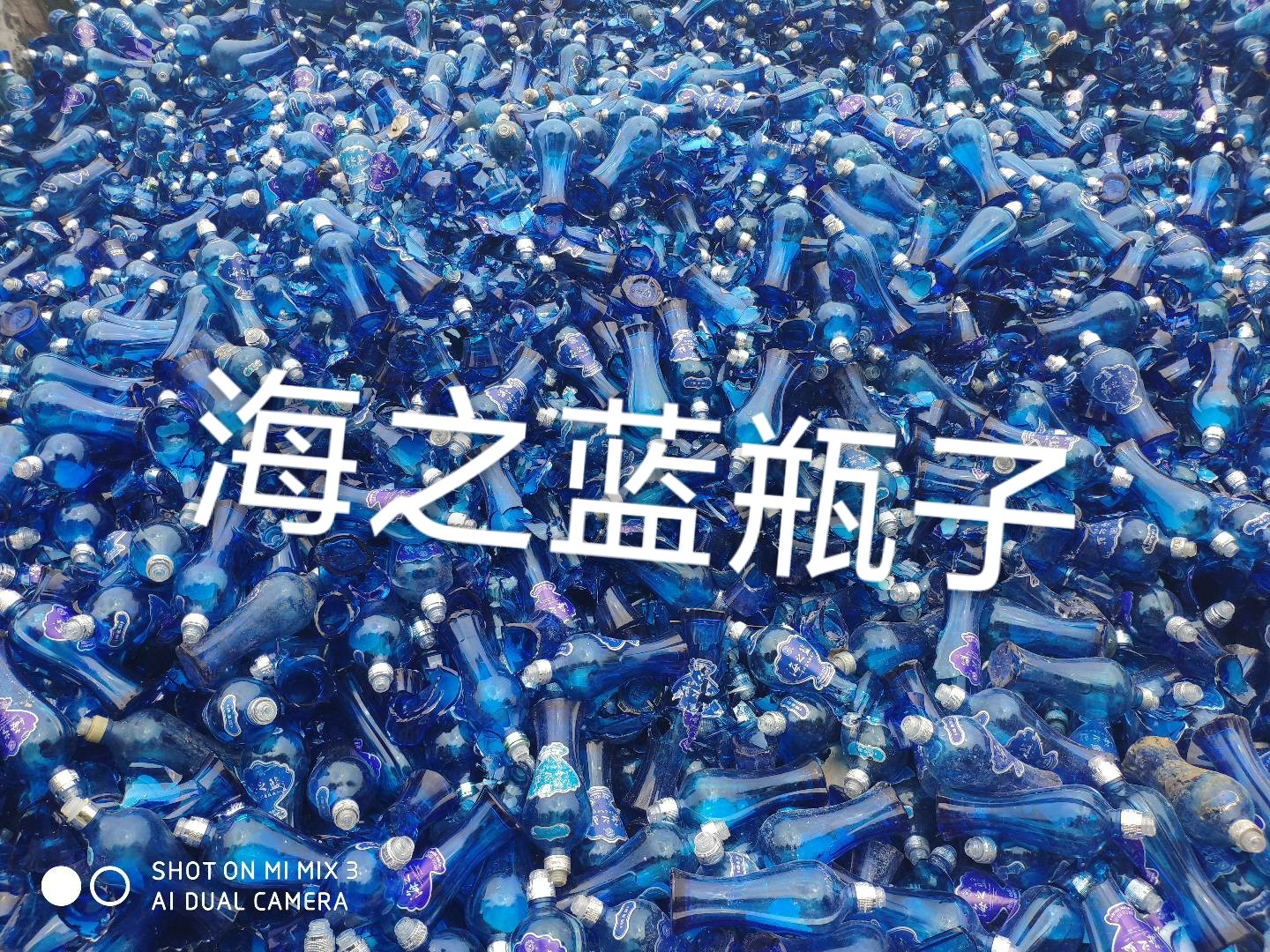 射阳海之蓝瓶回收