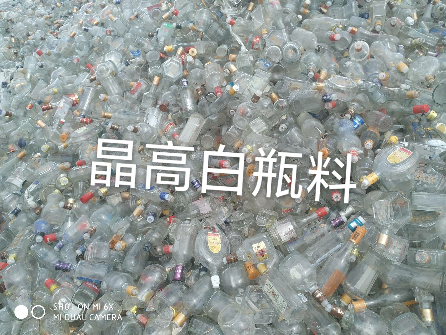 射阳晶高白瓶料回收