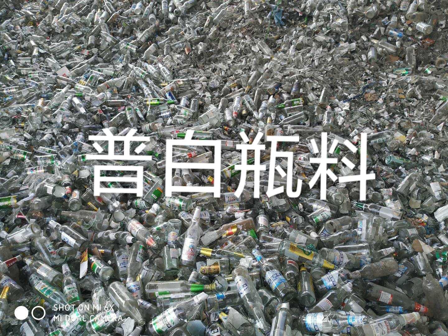 射阳普白瓶料回收